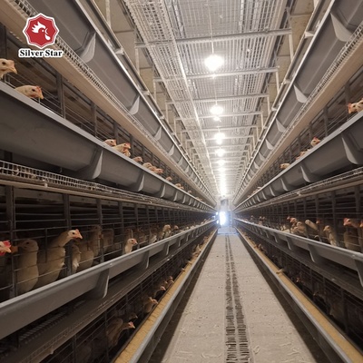 银星工厂在巴基斯坦与菲律宾农场的家禽销售业务 鸡蛋层鸡与鸟笼一体化解决方案