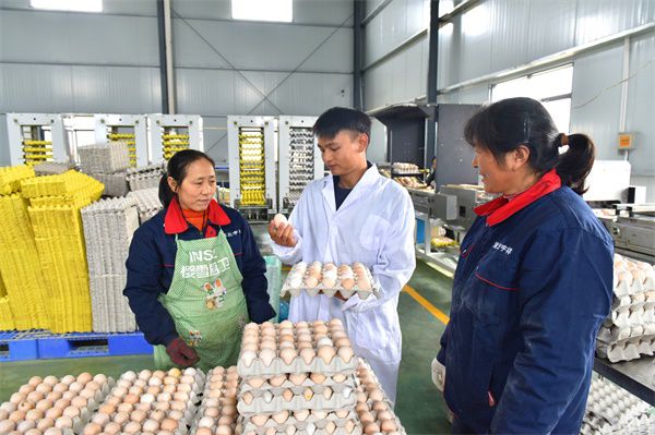 荆州区一企业荣获粤港澳大湾区“菜篮子”产品加工企业认定，家禽销售迎来新机遇