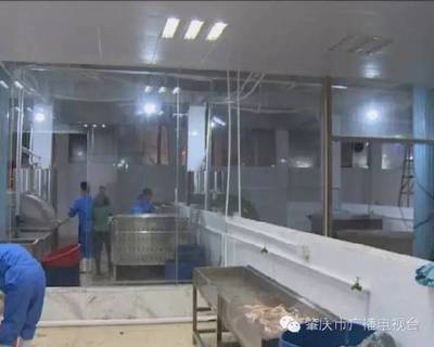 肇庆端州 生鲜家禽首日上市平稳，零售价格普涨约两元