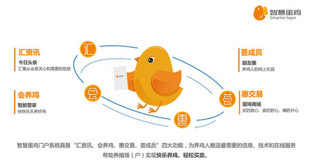 智慧蛋鸡向“数”而兴 家禽产业数字化驶入快车道