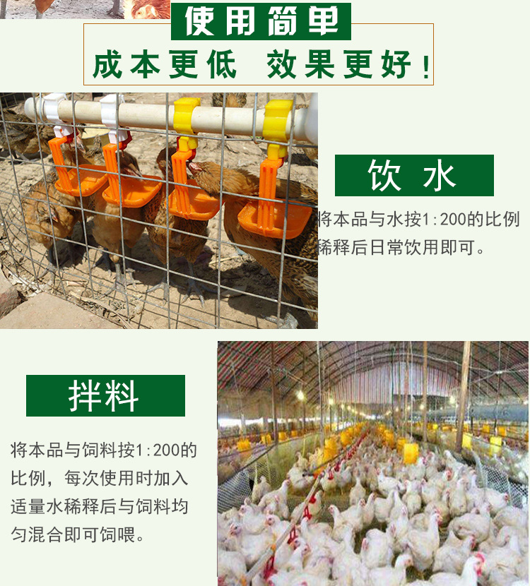 鸡棚常用药品牌解析 养殖户的选择与家禽销售的市场逻辑