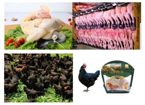 湘佳股份（002982）申购指南 发行价格解析与最佳申购时机建议