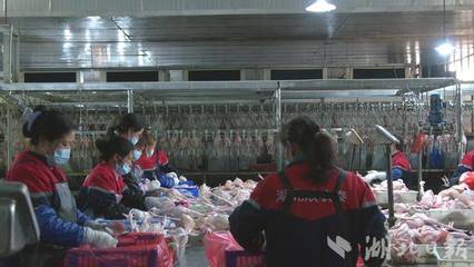 蕲春县株林镇 提速加劲 冲刺家禽销售“全年红”