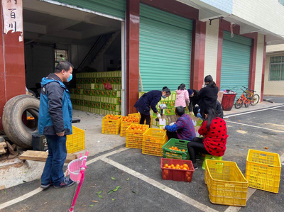 打通贫困户农产品销售“最后一米” 大锡乡家禽销售新思路